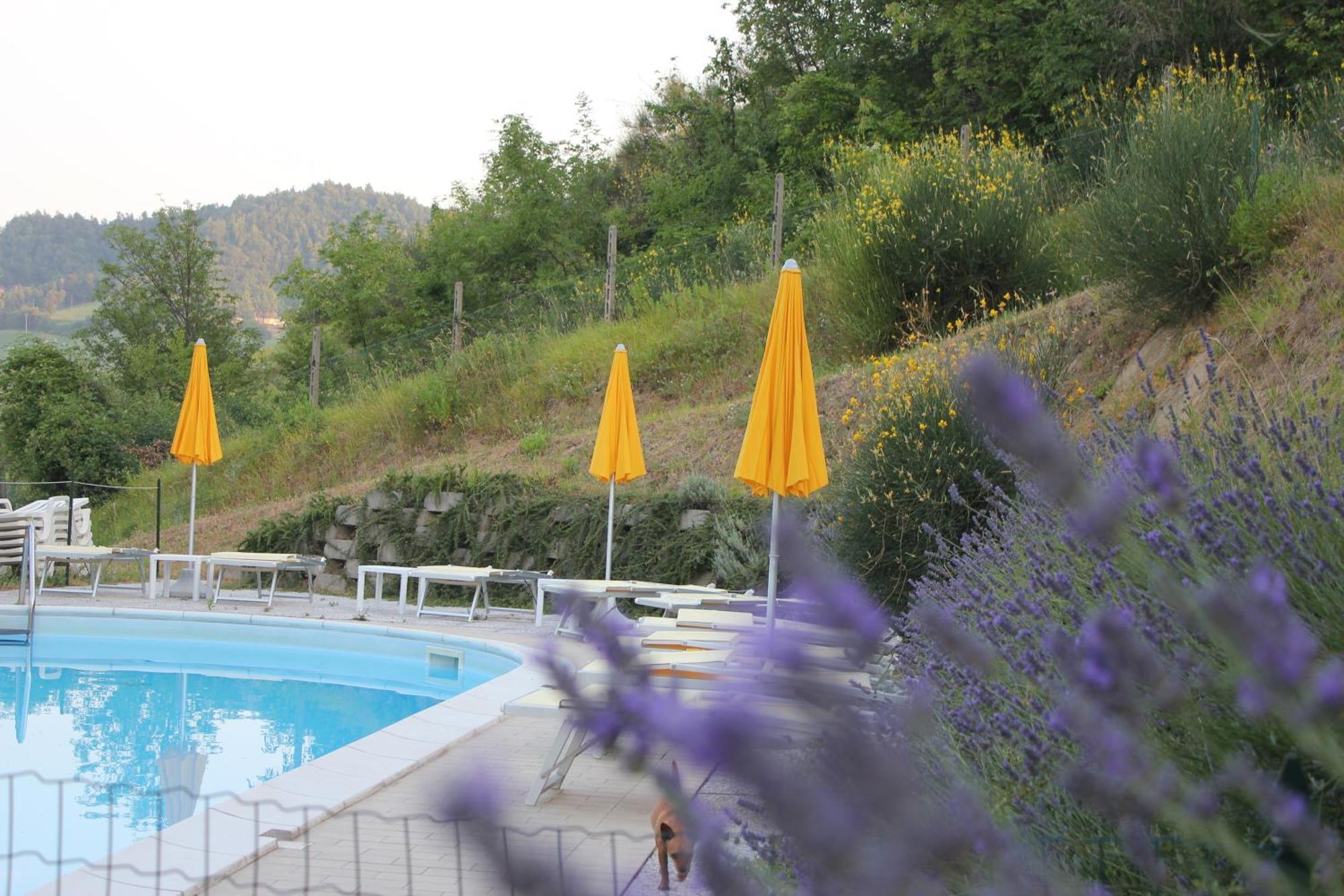 Agriturismo La Valle Del Vento Urbino Eksteriør bilde