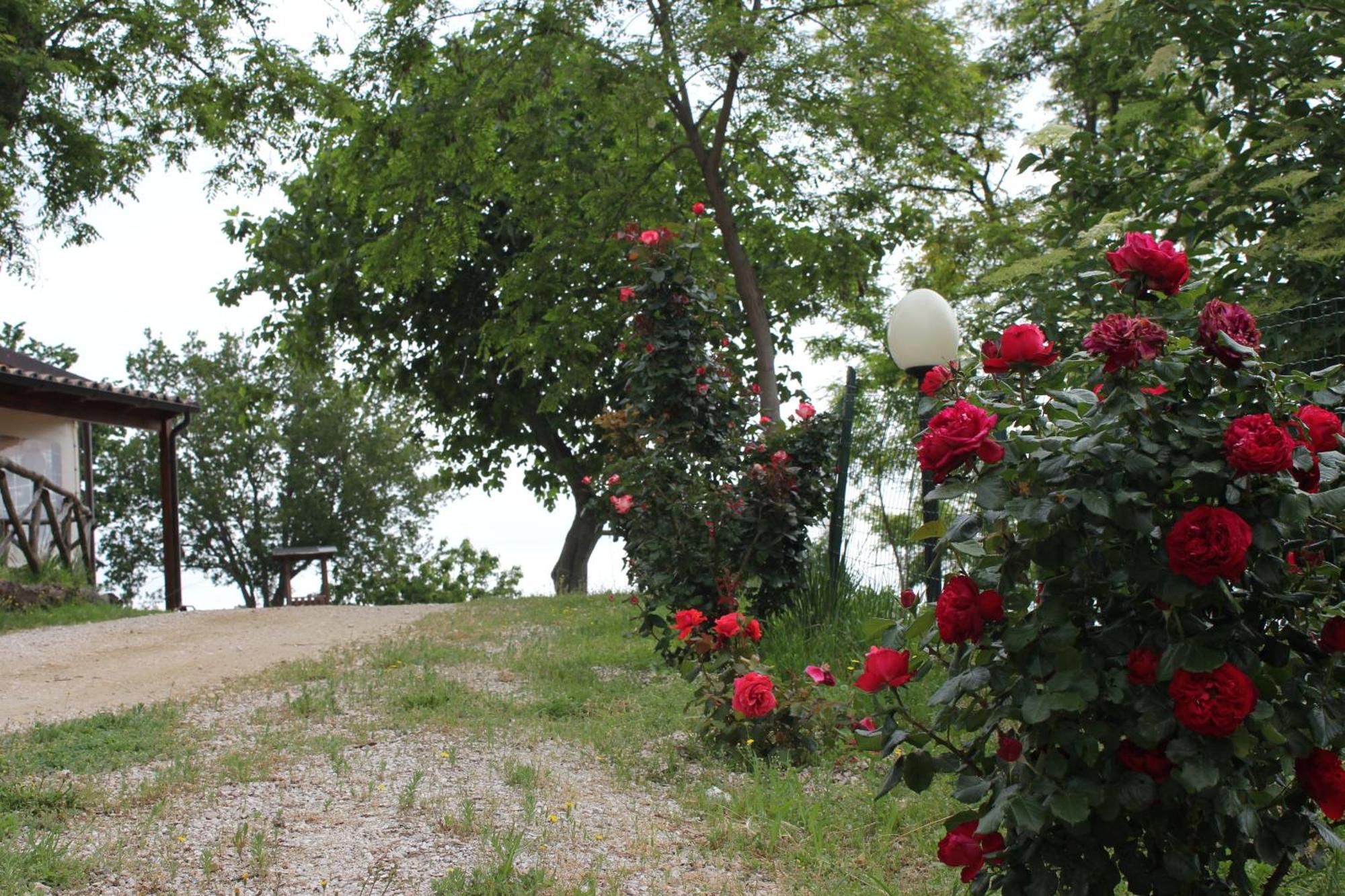 Agriturismo La Valle Del Vento Urbino Eksteriør bilde